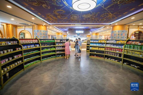 重庆丝路花街 构筑‘一带一路’消费新体验商品交易中心