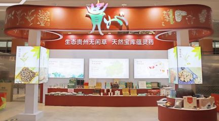 黔药出山新窗口 贵州中药材馆常驻亳州，近400种道地药材集中亮相
