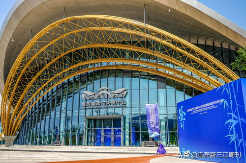 5月1日投用 四川宜宾国际竹产品交易中心项目盛大启幕